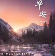 大象传媒dx永久菠萝-探索大象传媒DX与永久菠萝的奇妙融合，创意与文化的深度交织